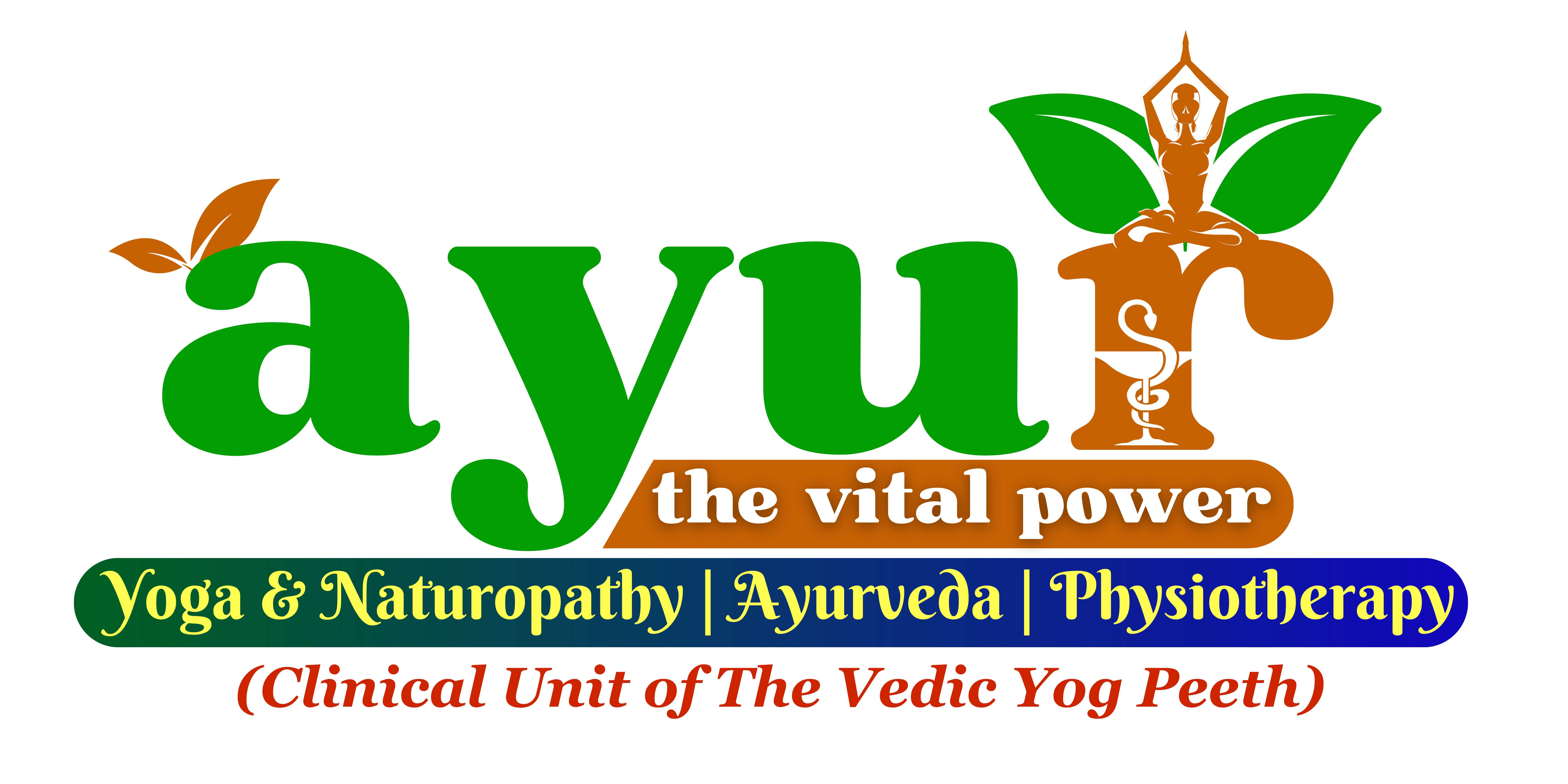 VEDIC CARE- AYUR THERAPY CLINIC